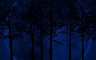 Картинка синие, луна, тень, силуэт