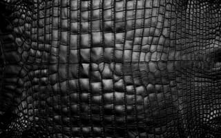 Картинка snake skin, черные, змея, скины