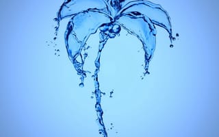 Картинка aqua palm, синие, вода, капли, брызги, пальмы, аква