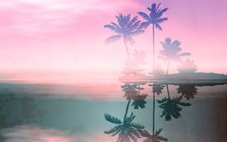 Картинка colorful palm trees, красочные, деревья, остров, пальмы