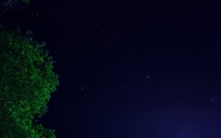 Картинка eh, темные, небо, ночь, звезды, звезда, дерево, яркие, звездное, путь, млечный
