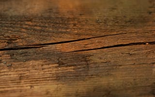 Картинка дерево