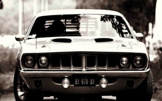 Картинка chevrolet cuda, машины, авто, автомобили, суперкары, шевроле