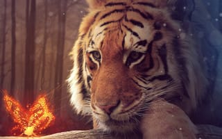 Картинка big tiger, бабочки, тигр, мир, светящиеся, расслабляющие