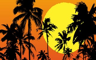 Картинка the tropics, природа, закат, солнце, тень, силуэт, тропики