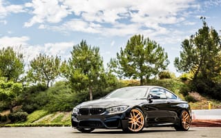 Картинка bmw, черные, золотые, бмв, деревья, германия