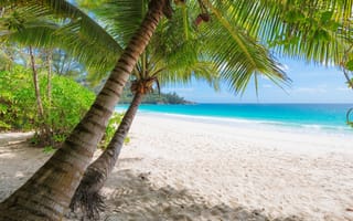 Картинка природа, пляж