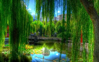 Картинка вид, превосходный