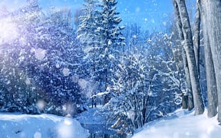 Картинка river trees, winter landscape, пейзаж, зима, деревья, река, солнечный свет