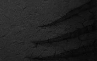 Картинка android, htc 10, htc 10 15, андроид, смысл