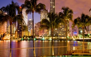 Картинка закат, город, дерево, тропические, пальмы, майами, флорида