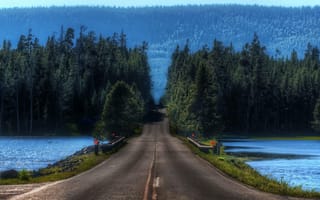 Картинка road goes, природа, дорога