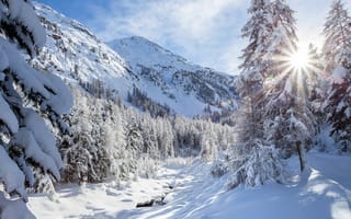 Картинка beautiful, природа, прекрасные, белые, зима, снег, солнце, горы