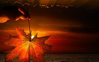 Картинка autumn leaf, закат, осень, листья