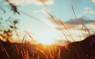 Картинка солнце, сияние