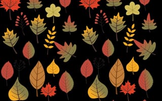 Картинка nature color 3, природа, красочные, цветные, листья