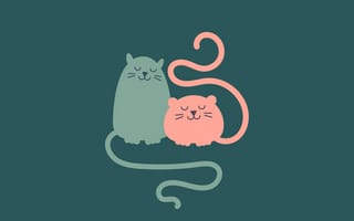 Картинка hd, zac, zedgecats, zoe, zac and zoe, кошки, рисунки, иллюстрации, котята