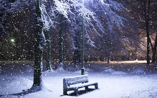 Картинка winter in park, ночь, зима, снег, парк