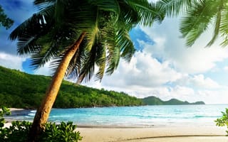Картинка thailand, море, пляж, океан, деревья, пальмы