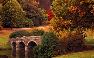 Картинка foliage, дерево, осень, листья, мост