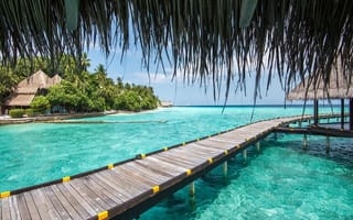 Картинка paeadise, тропические