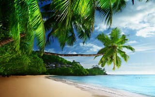 Картинка пейзаж, море, пляж, тропические, рай, пальмы, берег