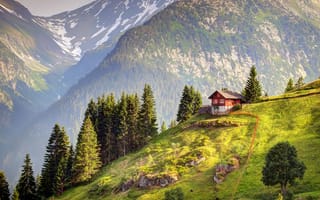 Картинка деревья, горы, дом, швейцария