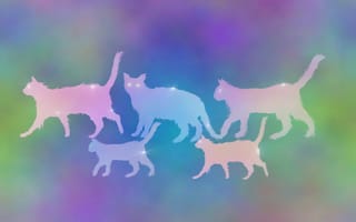 Картинка anomal, cats cats cats 2, дизайн, коты