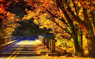 Картинка autumn road, природа, дорога, деревья, осень, путь