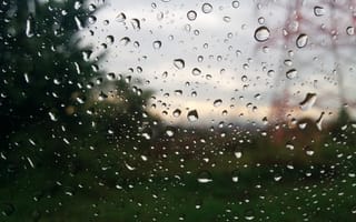 Картинка природа, красые, зеленые, вода, дождь, капли