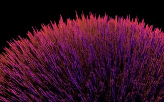 Картинка google, nexus, цветные, гугл, взрыв