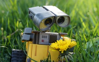 Картинка 4k, hd, wall-e, стена