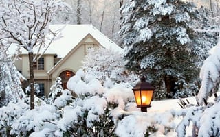 Картинка winter time, белые, зима, снег, время