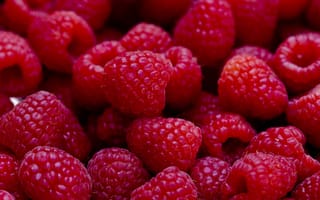 Картинка raspberries, красые, фрукты, свежие