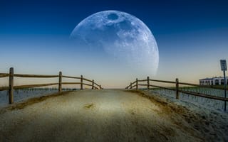 Картинка summer night, природа, ночь, пейзаж, луна, дорога, лето