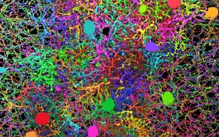 Картинка 3d, абстрактные, цветные, 3д, рисунки