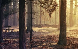 Картинка new jersey park, новый, деревья, осень, листья, парк, скамейка, джерси