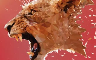 Картинка lioness, animal pattern, шаблон, животные, лев, звук