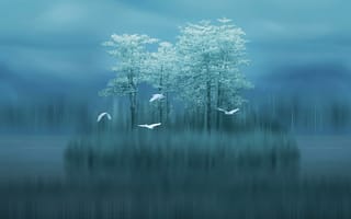Картинка marshes, mate 10, huawei mate 10, синие, деревья, стена, стандартные, хуавей, птицы, матовые