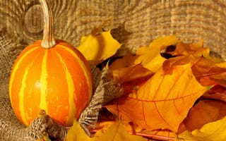 Картинка осень, украшение