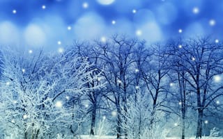 Картинка road blue, snow trees white, winter landscape, синие, белые, пейзаж, зима, снег, дорога, деревья