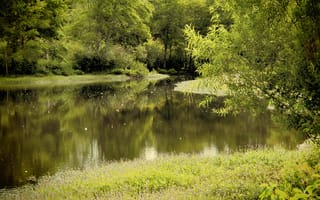 Картинка природа, пейзаж