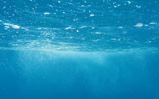 Картинка природа, море, подводные