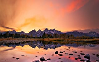 Картинка природа, стены