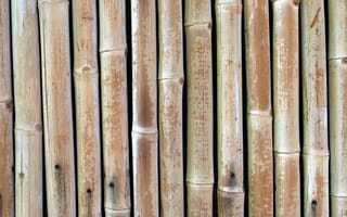 Картинка дизайн, стена, бамбук