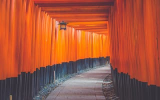 Картинка hallway, оранжевые, японские, архитектура