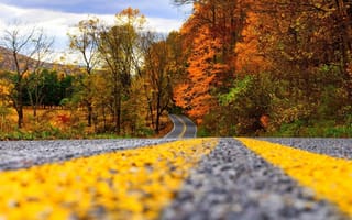 Картинка природа, цветные, дорога, вид