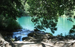 Картинка loch, космос, лес