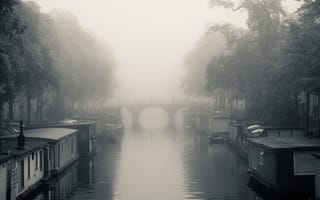 Картинка misty, черные, темные, белые, серые, мост, туман