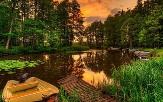 Картинка природа, пейзаж, закат, лес, деревья, листья, река, лодки, лилии